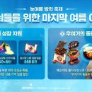 미르 이미지