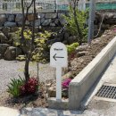 리버 STAY 이미지