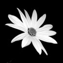 이태원내과의원 이미지