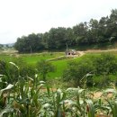 머물농장 이미지