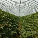 소중농원 이미지