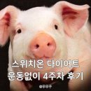 (유)가스온 | 스위치온 다이어트 4주차｜운동 없이 감량 가능? 직접 해본 후기(+인바디)