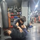 엑스오짐 이미지