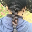 오꿀사과