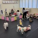 멈무유치원 이미지