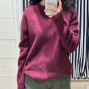 dog조아 | 더바넷 | 25 가을 니트3가지, 와플티, 쇼츠 피팅 후기