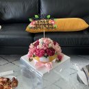 서울살이1 시작