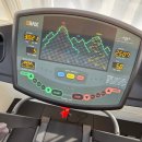 랩 지피티짐 이미지