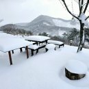토종떡국