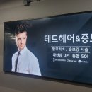 테드헤어 네이버블로그