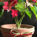 동탄유치원 이미지