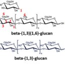 부산약국 이미지