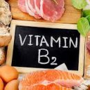 팜네이처스 이미지