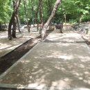 치인 야영장 이미지