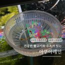 구피애견 | 포항 수족관 추천 아쿠아레인 수초 물품 구피 분양
