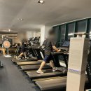 아나토미 스트랭스 이미지