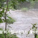 중국 장백산 화산석 석림 이미지