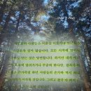 「당신은 결국 무엇이든 해내는 사람」 김상현 작가 강연 | 당신은 결국 무엇이든 해내는 사람 책 후기 김상현 | 설명하지 않고 결국 해내는 사람 추천 리뷰 핵심 요약