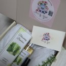 대숲향기 | 울산나다움컬러에서 만나본 🌿 대숲향 가득한 "블루밍 밤부" 향수 후기