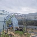 고령농장(2) 이미지