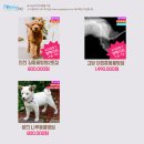 서울플러스 종합 동물병원 이미지