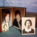 선운사의추억 이미지