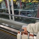 해림가든 | 🌴우당탕탕 싱가포르 신혼여행🇸🇬 - 1일차 (26.01.12)