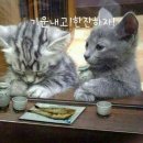 애주가 이미지