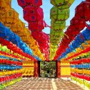 송이밸리자연휴양림 이미지