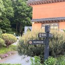 부곡중학길 이미지