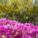 원미종합시장 이미지