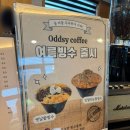 부산애견 | 부산 기장 애견 동반 카페 오드시 Oddsy 내돈내산 후기