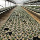 이동철농장 이미지