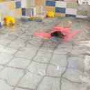 제주아이노스 | 아이들과함께하는 제주여행ㅡ제주아이노스 이용후기