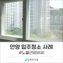 비씨노블리앙 | 믿을만한 안양 입주청소업체를 찾으신다면! (feat. 안양 노블리앙 비씨, 투룸 오피스텔 이사청소)