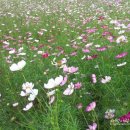 장동쉬엄쉬엄 이미지