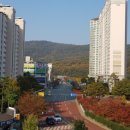 매천근린공원