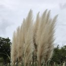 북문놀이터 이미지