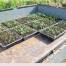 동거목장 이미지