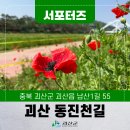 동진천길 네이버블로그