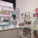 까까네 애견미용 이미지