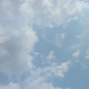 맑은세차 이미지