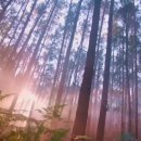 Mocedades - Adios Amor 이미지