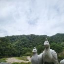 홍천시티투어 | 여행 코스 : 알파카월드 - 공작산 수타사 농촌테마공원 - 홍천 중앙전통시장 w 로망스 홍천시티 투어
