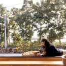 하다책숙소 이미지