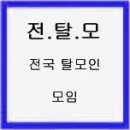 탈모치료 고민입니다. 도와주세요.(탈모, 피로, 지루성 피부염 등) 이미지