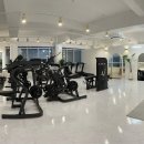 버킷바디 이미지