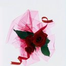 황등초등학교 이미지