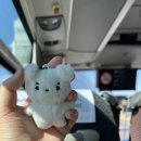 로얄더비파크 이미지