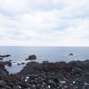 신양목장 이미지